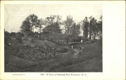 A View In Highland Park Postcard