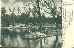 Lake In Allegheny Park Postcard
