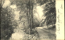 Brookside Road South Mountain Reservation Postcard