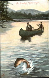 An Aroostook Battle Royal Postcard