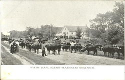 Fair Day East Haddam Grange Postcard