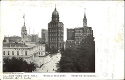 New York City Hall Postcard