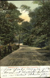 Wissamckon Drive, Fairmount Park Postcard