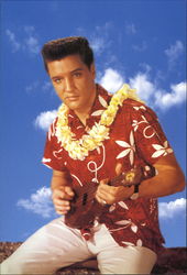Elvis In Hawaii Celebrities