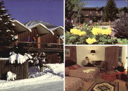 Cortina Inn Postcard