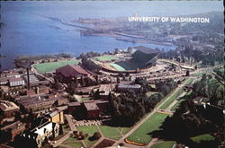 The University Of Washington Stadium Postcard