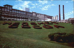 Hershey's Cocoa Postcard