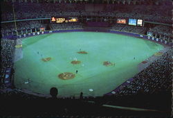 Busch Stadium Postcard