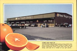 Orange Blossom Groves, 1600 U. S. 19 South Postcard