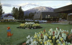 Marmot Lodge Postcard
