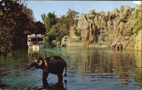Elephant Bathing Pool Disney