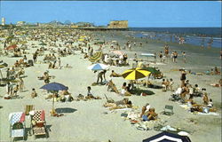 Beach North Of Cedar Avenue Postcard
