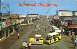 The Sightseer Postcard