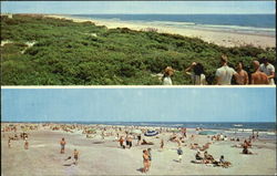 Atlantic Ocean Avalon, NJ Postcard Postcard