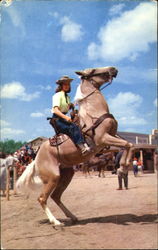 Ride 'Em Cowgirl Cowboy Western Postcard Postcard