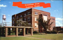 Dawson County Court House Postcard