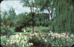 Gilead Library Building Postcard