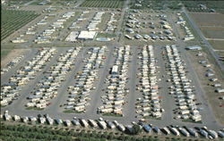 Alamo Palms Mobile & Travel Trailer Park, 1341 West Business 83 Texas Postcard Postcard