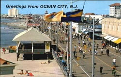 Greetings From Ocean City New Jersey Postcard Postcard