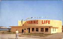 Marine Life Gulfport, MS Postcard Postcard