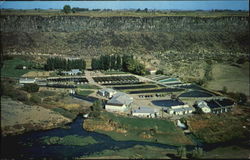 Snake River Trout Farm Postcard