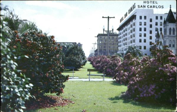 Azaleas And Camellias In Full Bloom, Palafox Parkway Pensacola Florida