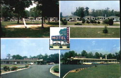 Mosley's Shady Lake Motel Rocky Mount, NC Postcard Postcard