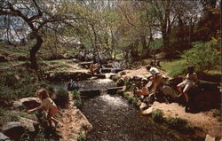 The Herring Run At The Brewster Mill Postcard