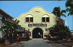 Municipal Aquarium Key West, FL Postcard Postcard