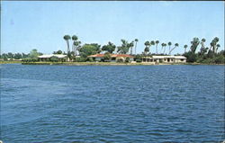Crystal River Florida Postcard Postcard
