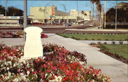 Memorial Park Clearwater, FL Postcard Postcard