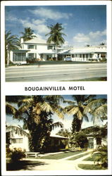 Bougainvillea Motel, 1040 S. Federal Hwy. on U.S. 1 Hollywood, FL Postcard Postcard