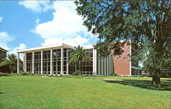 Merl Kelce Library Tampa, FL Postcard Postcard