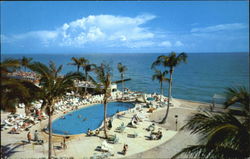 Tropical Southern Coast Of Florida Postcard