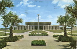 University Of South Florida Postcard
