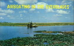 Airboating In The Everglades Postcard