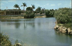 Royal Palm Station Postcard