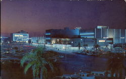 Webb's City The World's Most Unusual Drug Store St. Petersburg, FL Postcard Postcard