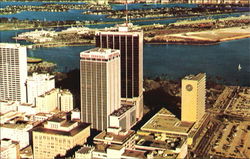 Miami The Magic City Postcard