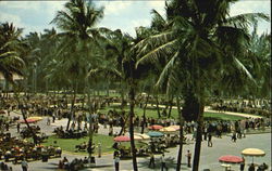 The Paddock, Hialeah Park Postcard