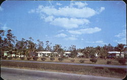 Homestead Cottage Court, U. S. No. 1 Florida Postcard Postcard