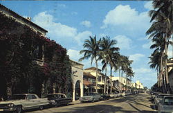 Palm Beach Postcard