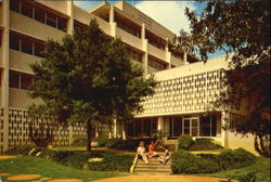 Library Patio, University of south Florida Postcard