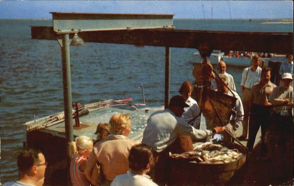 Bringing In The Fish, Cape Cod Chatham Massachusetts