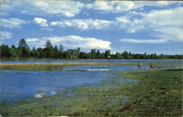 Rainbow Lake At Lakeside Arizona
