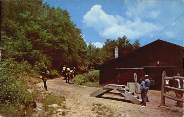 Blackwater Falls State Park Davis West Virginia