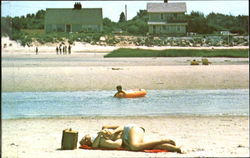 Low Tide, Cape Cod Scenic, MA Postcard Postcard