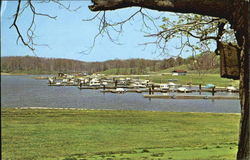 Salt Fork State Park Marina Scenic, OH Postcard Postcard