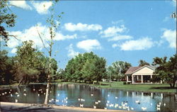 Shawnee Park Lagoon Postcard
