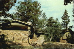 The Tree House – Wildwood Estates Prescott, AZ Postcard Postcard